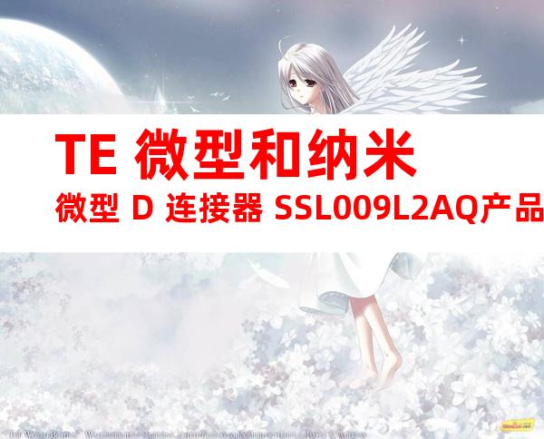 TE 微型和纳米微型 D 连接器 SSL009L2AQ产品图纸